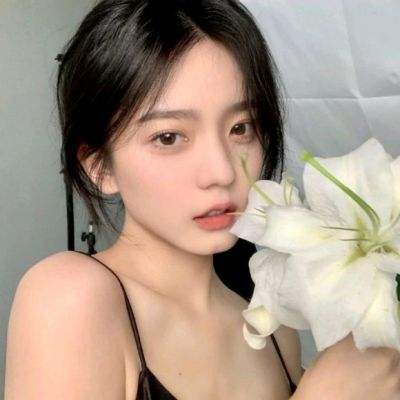 龙之契约bt版下载